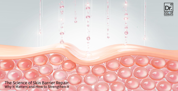 The Science of Skin Barrier Repair: Why It Matters and How to Strengthen It